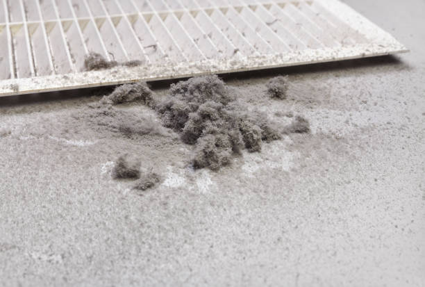 Best Affordable Duct Cleaning Services  in Sauk Centre, MN