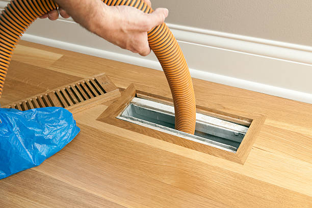 Best Local Air Duct Cleaning Services  in Sauk Centre, MN