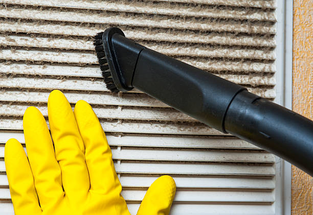 Best Professional Duct Cleaning Services  in Sauk Centre, MN